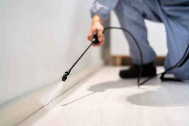 Licensed Termite Control service in Anthony, TX - Nex Pest Control