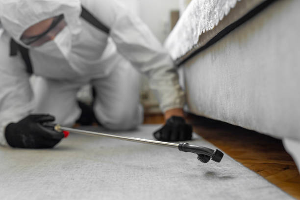 Professional Termite Control technician working in Anthony, TX