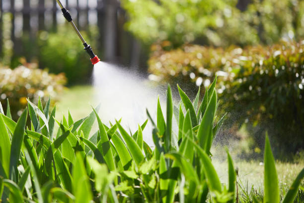 24/7 Emergency Termite Control experts in Anthony, TX
