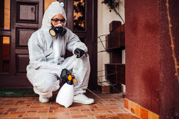 Reliable Termite Control contractor in Anthony, TX by Nex Pest Control