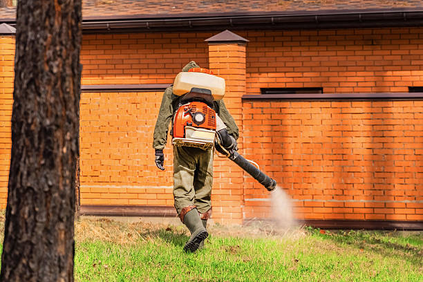 Top rated local Termite Control specialists in Anthony, TX